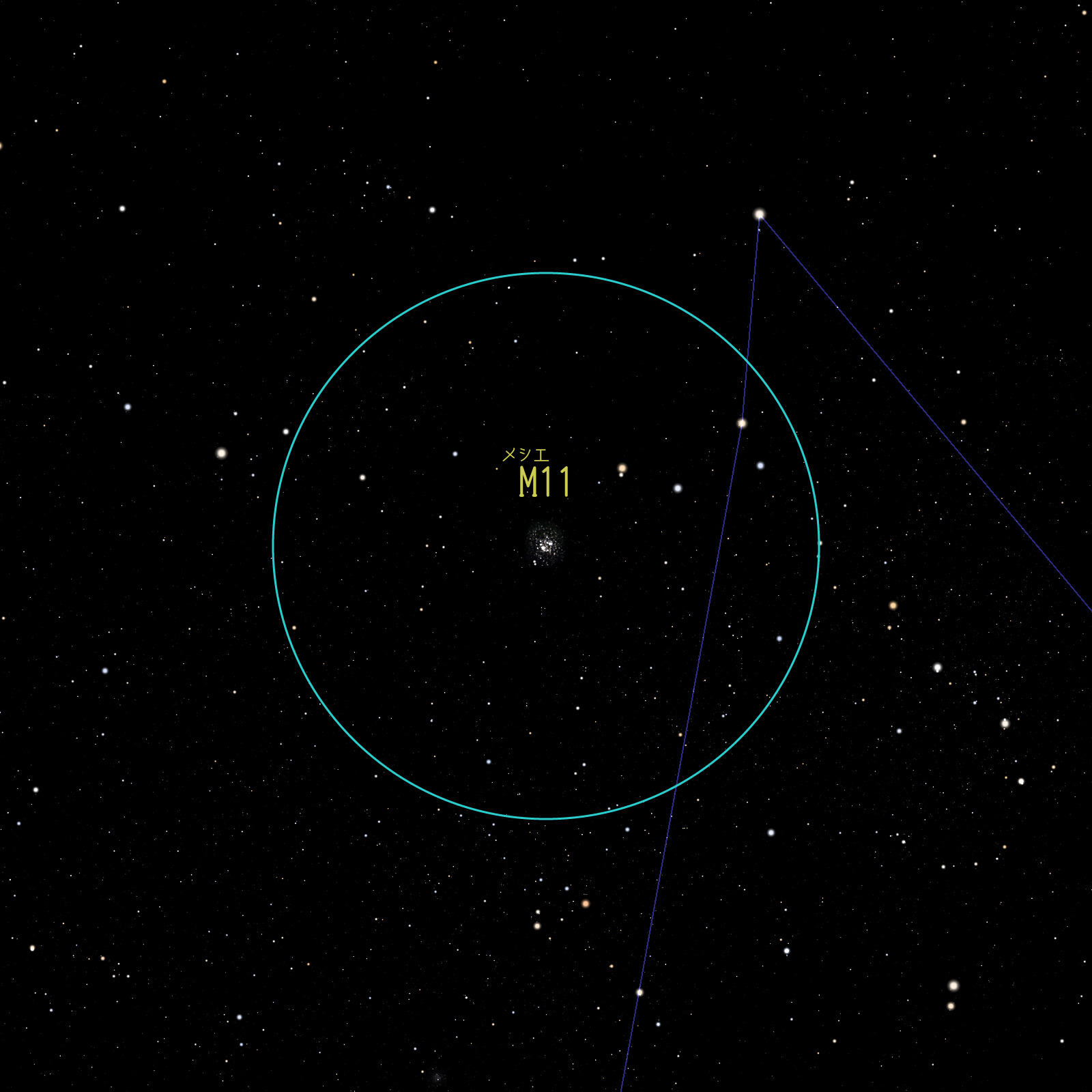 M11.jpg